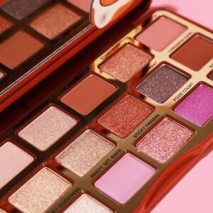 Too Faced ~ ‘CINNAMON SWIRL’ Sweet & Spicy Eye Shadow Palette ~ LE ~ NIB